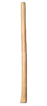 Medium Size Natural Finish Didgeridoo (TW856)